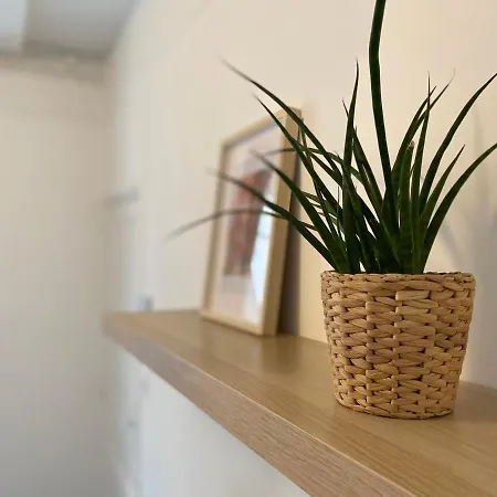 Petit T2- Proche Boulingrin Apartmán Rouen